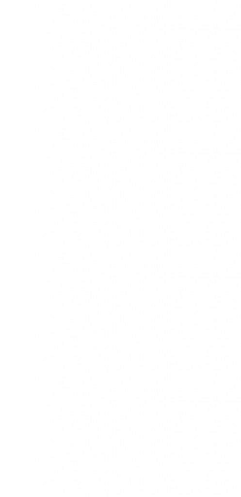 FLY am Vormittag in Jahrgang 2 – 2019